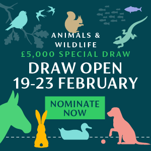 Animals Special Draw now open