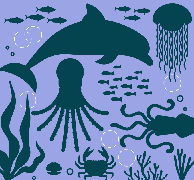 Sealife Illustration