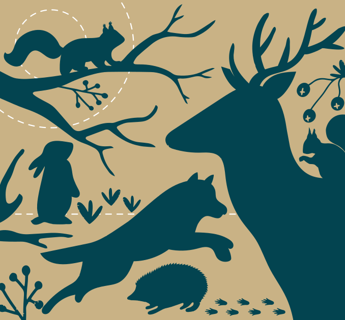 Woodlands animals illustration