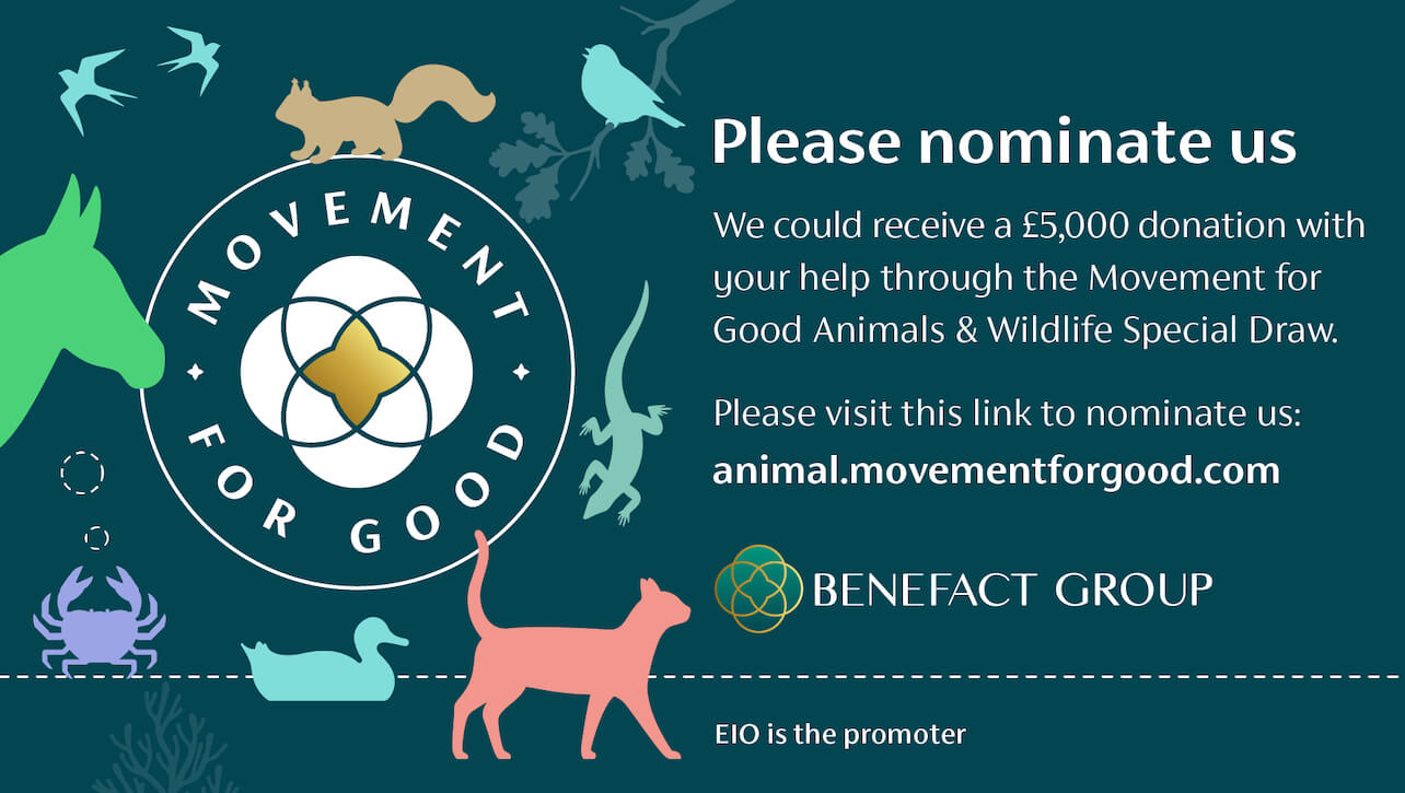 Movement for Good - Nominate a charity for an award.